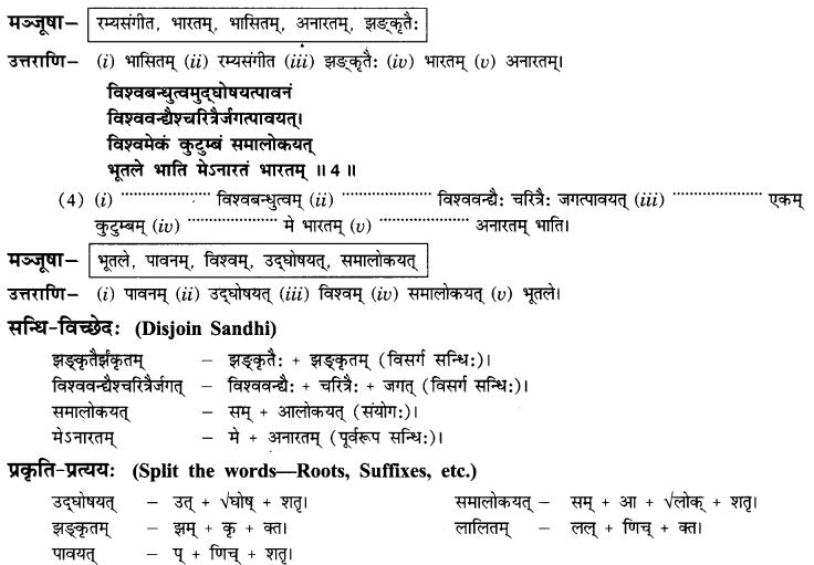 Sanskrit together with guide class 10 term 2 solutions